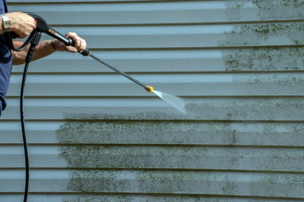 Best Roof Washing  in Gantt, SC